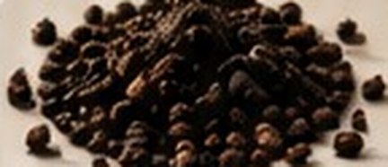 Black Pepper